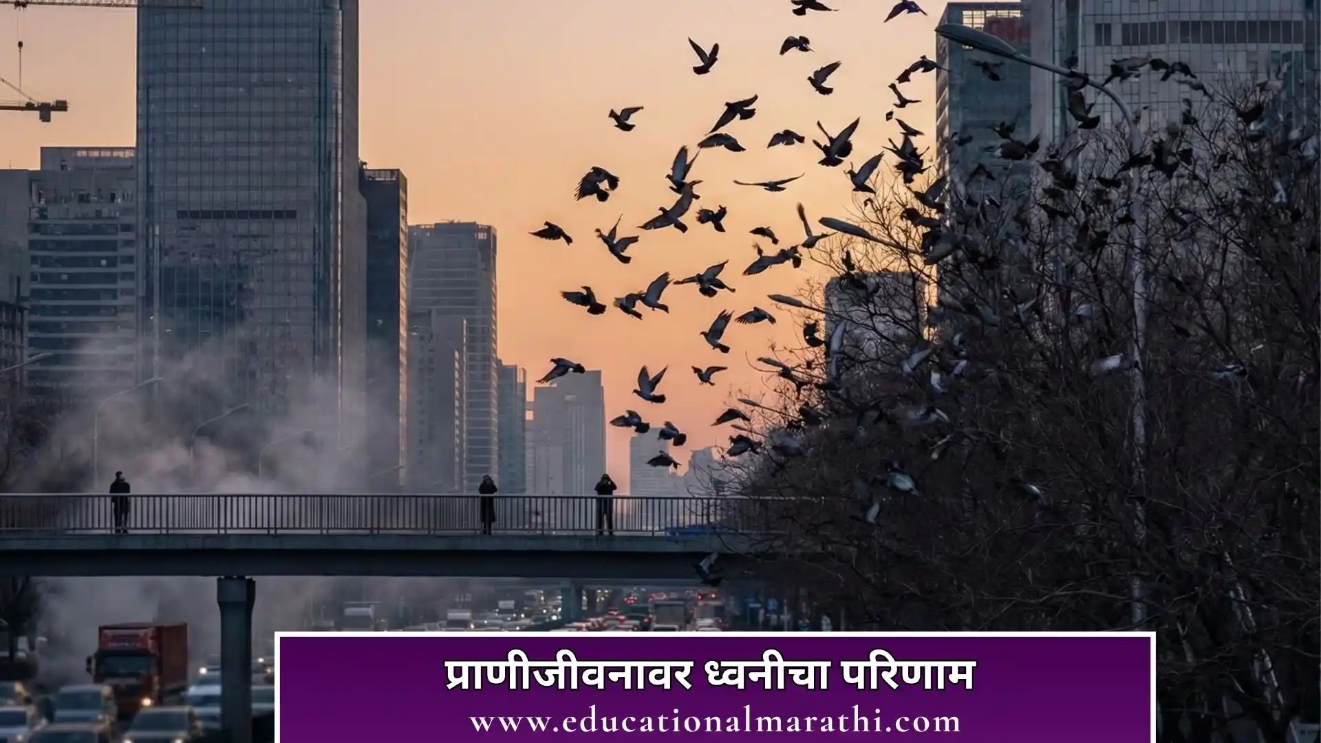 Dwani pradushan project Dhwani pradushan in Marathi Dwani pradushan project in Marathi Dwani pradushan project Dhwani pradushan in Marathi Dwani pradushan project in Marathi