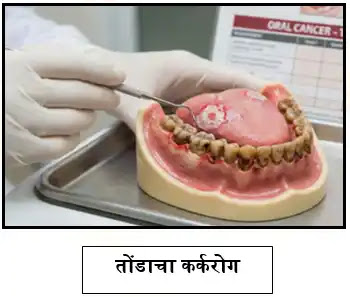 पर्यावरण शिक्षण व जलसुरक्षा प्रकल्प 12वी pdf पर्यावरण शिक्षण व जलसुरक्षा प्रकल्प 12वी pdf